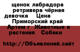 щенок лабрадора -ретривера(чёрная девочка) › Цена ­ 18 000 - Приморский край, Артем г. Животные и растения » Собаки   